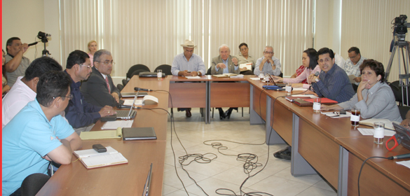 "Comision de Produccion"