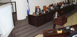 IMGL4434 copia