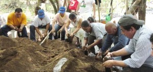 "Siembra de plantas en vivero"