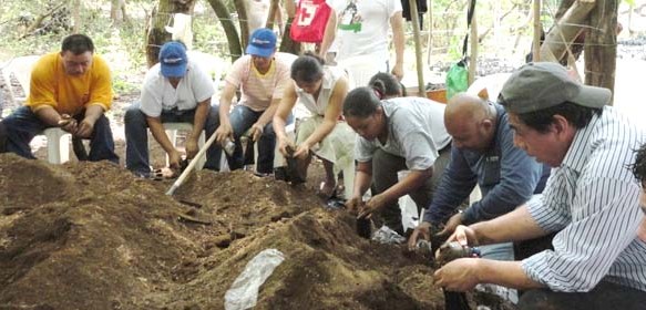 "Siembra de plantas en vivero"