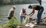 "Trabajadores limpiando orilla de Laguna de Masaya"