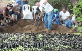 "Plantas del vivero en La Playita, Laguna de Masaya"
