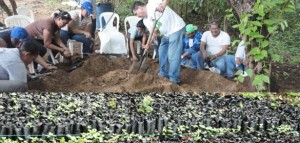 "Plantas del vivero en La Playita, Laguna de Masaya"