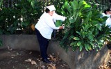 "Dip.Iris Montenegro, 1era Vicepdta.AN"