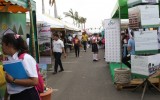 IMGL7668 copia