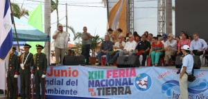 IMGL7620 copia