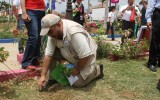 IMGL7704 copia