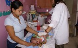 SONY DSC