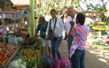 Digesto Frutas