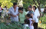 _20141108_9999_345