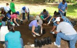 IMGL8855 copia