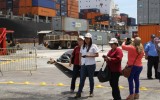 IMGL3142 copia
