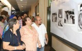 IMGS8529 copia