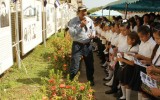 IMGL3234 copia